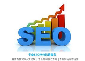 seo怎么优化网站标签插图